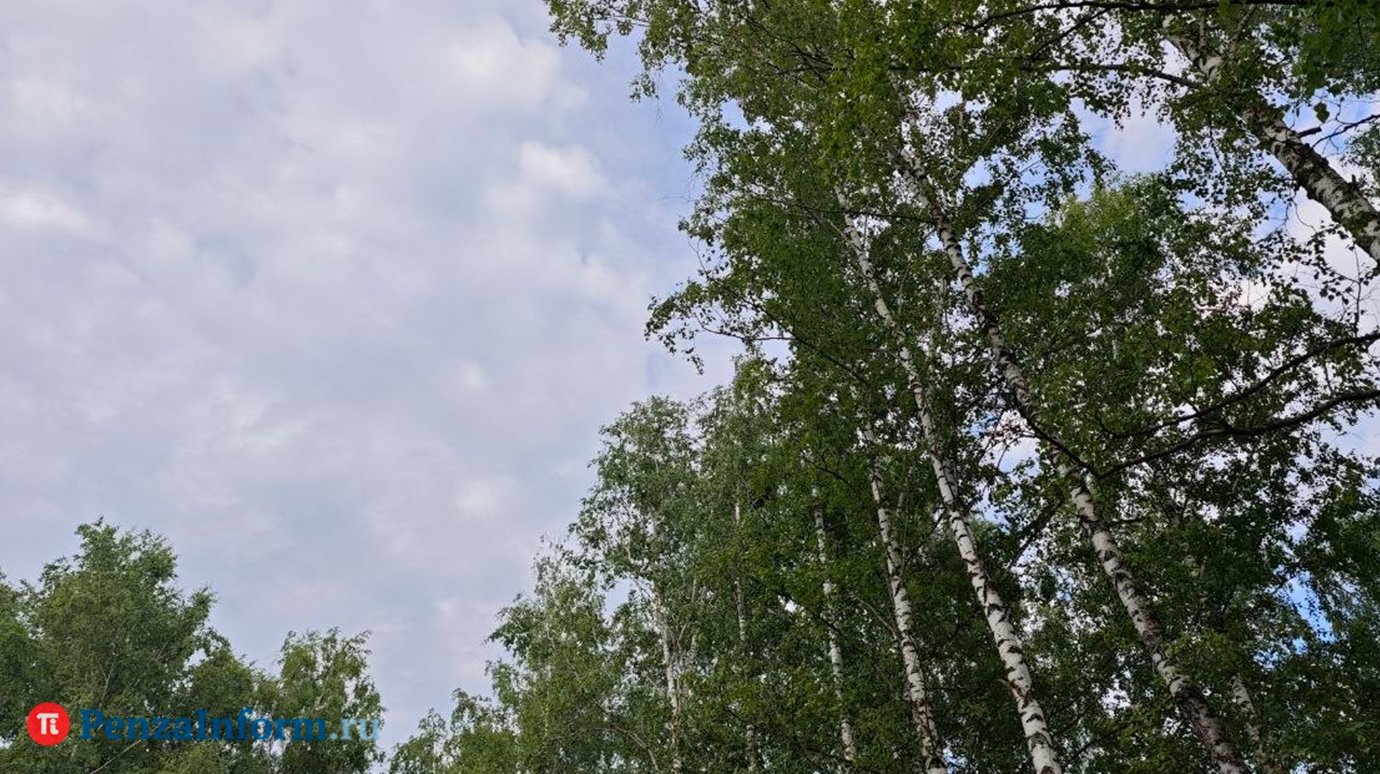 В Пензенской области объявили ракетную опасность