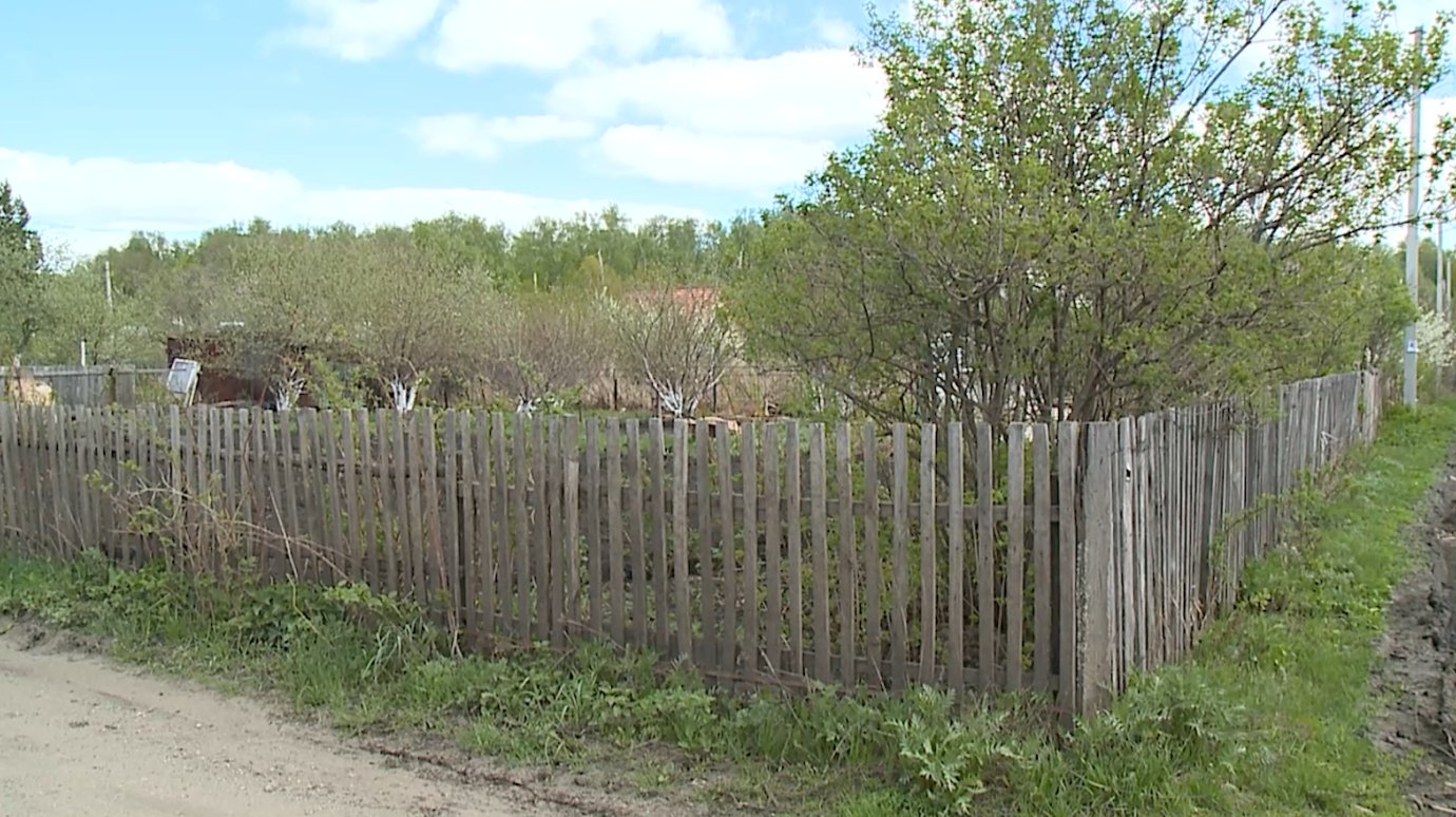 Бессоновец прятал в огороде под тканью запрещенные кусты