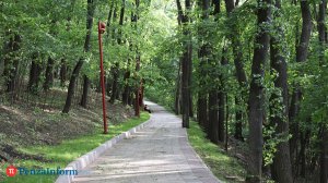 Правильное дыхание поможет избавиться от тревоги