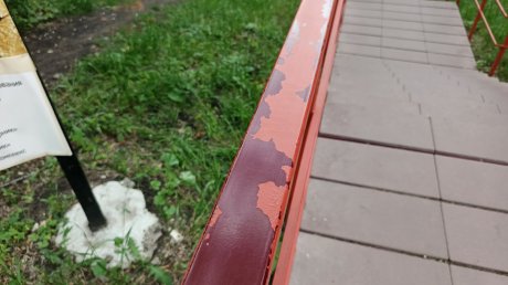 В Пензе планируют покрыть Wi-Fi всю территорию парка Белинского