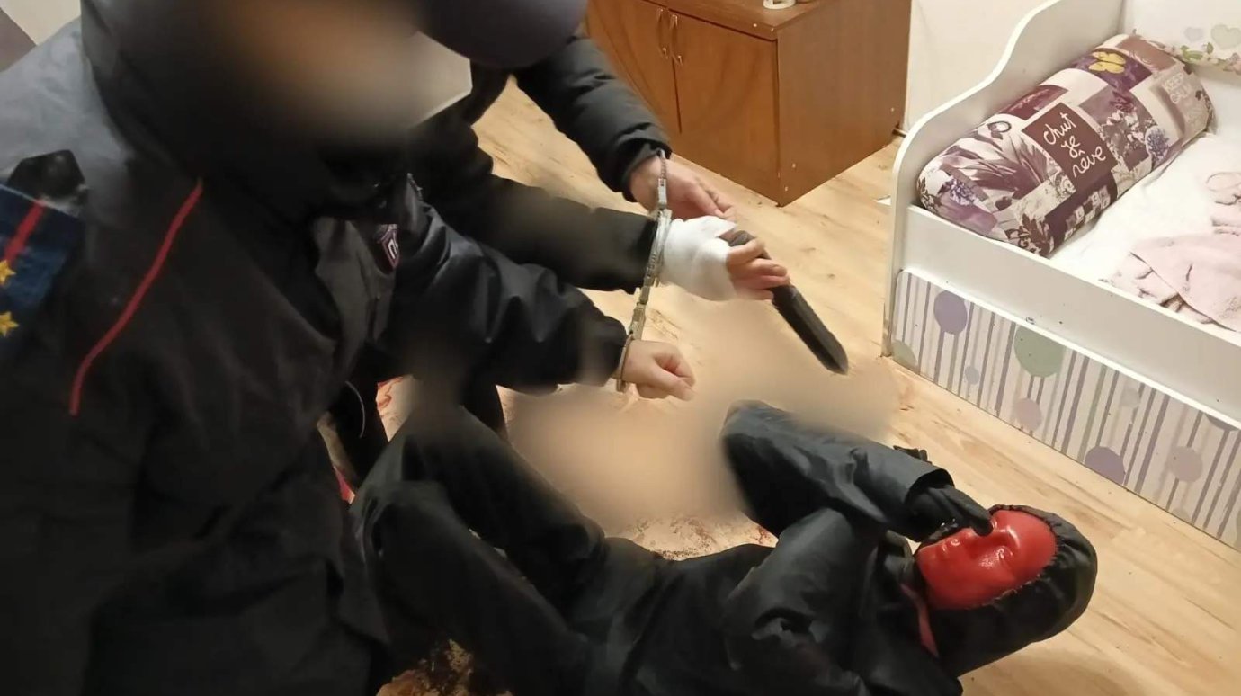 Осужденная за убийство жительница Каменки не признала вину