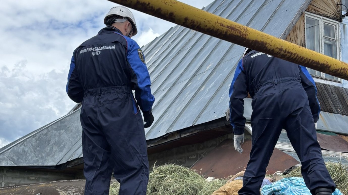 В Пензе мужчина скончался на крыше пристроенного к дому сарая