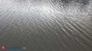 Утонуть «по-сухому». Врач Сиваконь: на воде человек гибнет в течение 5 минут