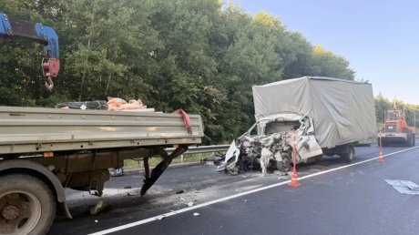 В страшной аварии с 5 машинами в Белинском районе погиб мужчина