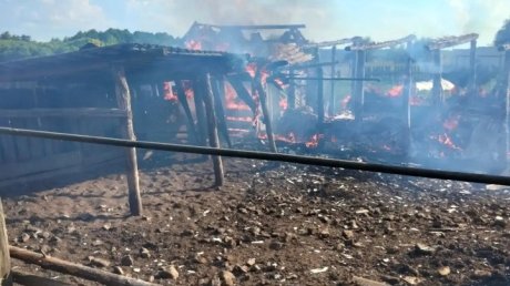 При пожаре в Никольском районе пострадал мужчина