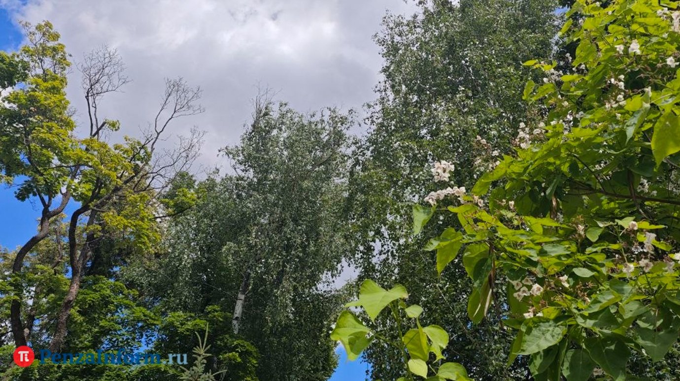 Подготовлен прогноз погоды в Пензенской области на 7 июля