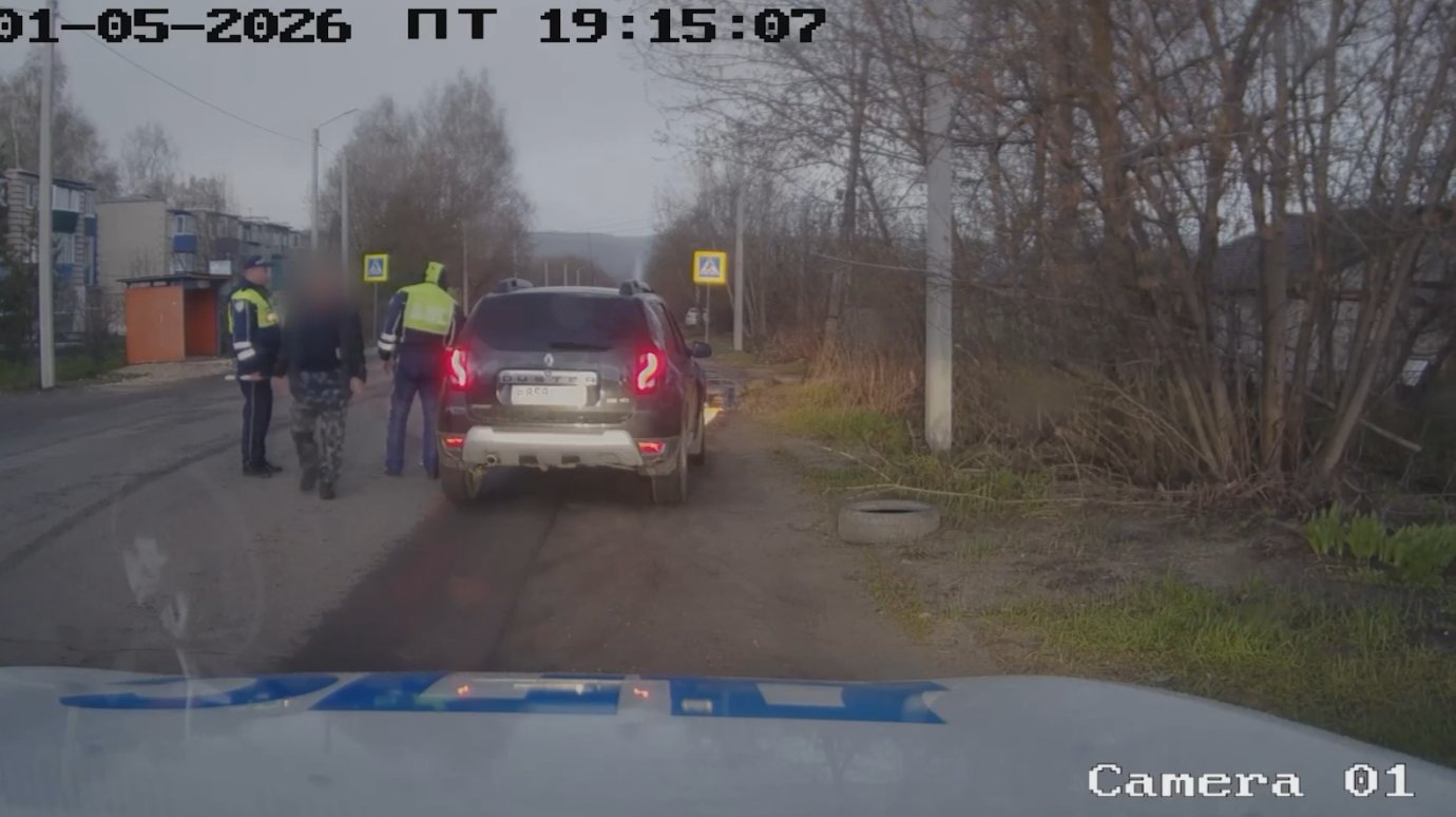 У жителя Каменки заберут Renault из-за пристрастия к спиртному