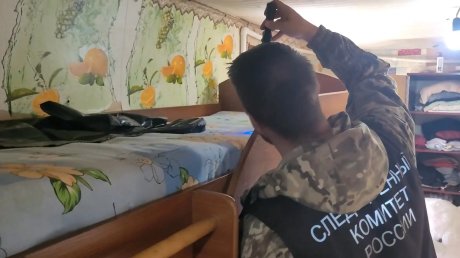 В Нижнеломовском районе женщину обвиняют в убийстве ребенка