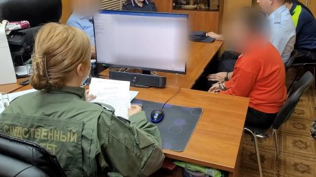 В Нижнеломовском районе женщину обвиняют в убийстве ребенка