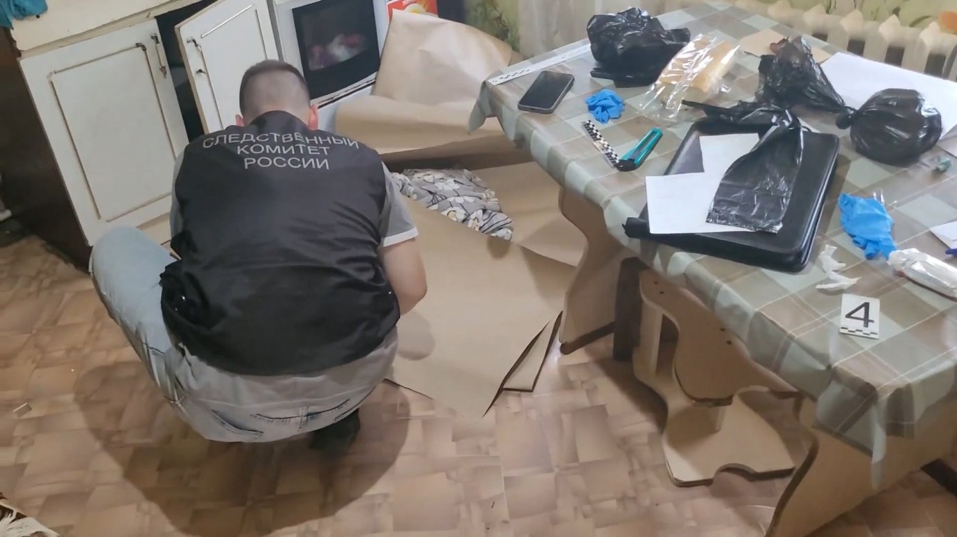 Появилось видео с места убийства 4-летней девочки в Кувак-Никольском
