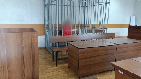 Появилось видео с места убийства 4-летней девочки в Кувак-Никольском