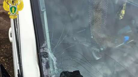 Вынесен приговор по делу о гибели подростка в Верхнем Ломове