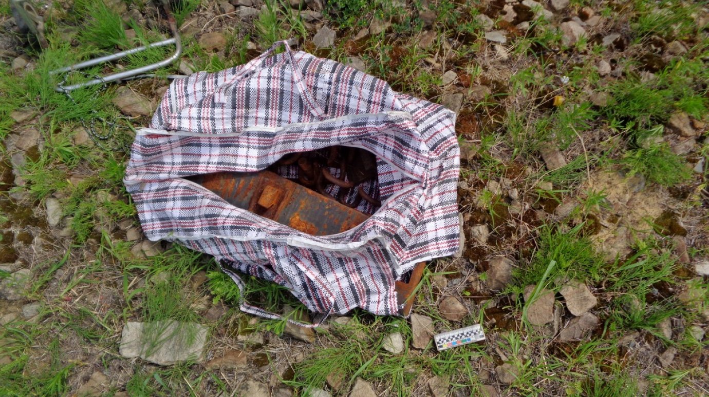 На станции Пенза-III задержали мужчину с тележкой