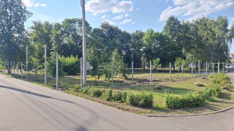 В сквере у «Светофорного дерева» огораживают стройку