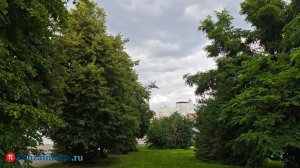 15 июля погода в Пензенской области практически не изменится