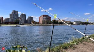 Дорогая рыбка. Рыболов Ахрамеев: за удочку могут оштрафовать до 0,5 млн