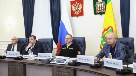 Губернатор поручил придать импульс развитию школьных лесничеств