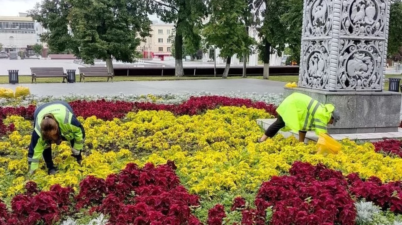 В Пензе вручную пропалывают все городские клумбы