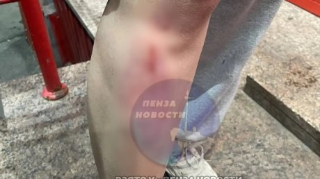 В Ближнем Арбекове пензенцев подстерегает ловушка