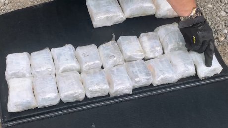 В Спасске задержали 2 курьеров с 16 кг наркотиков