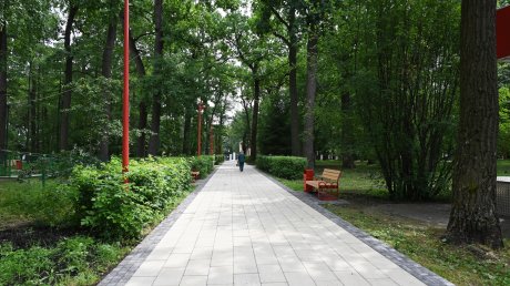 В парке Белинского начался монтаж оборудования для Wi-Fi