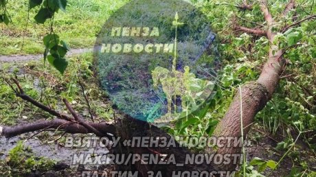 По Нижнеломовскому району пронесся ураган