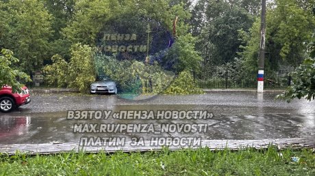 По Нижнеломовскому району пронесся ураган