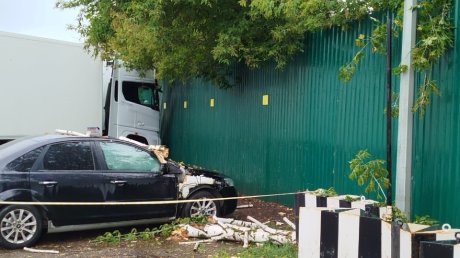 Пензенец добился компенсации за поврежденный упавшим деревом Ford