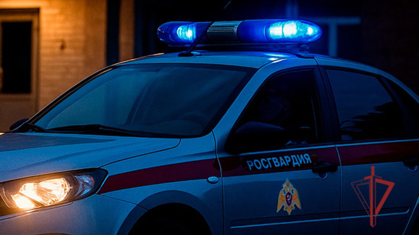 В Пензе во время драки в ресторане у женщины украли 110 тысяч рублей