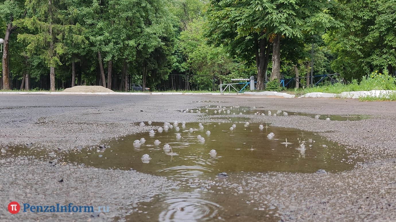 Первый день августа в Пензенской области будет дождливым