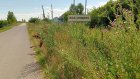 Село Волхонщино в Пензенском районе утопает в сухостое