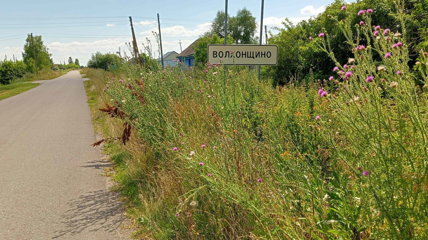 Село Волхонщино в Пензенском районе утопает в сухостое