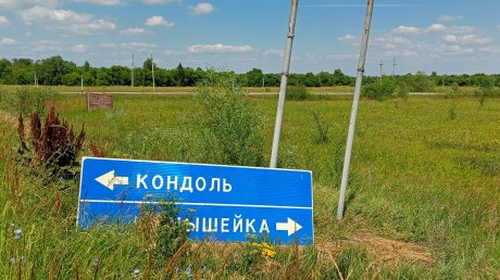 Село Волхонщино в Пензенском районе утопает в сухостое