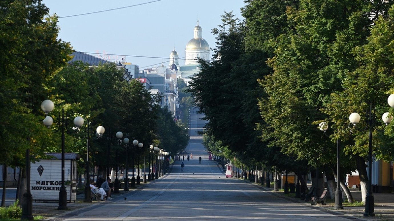 Глава Пензы проинспектировал улицу Московскую после жалоб