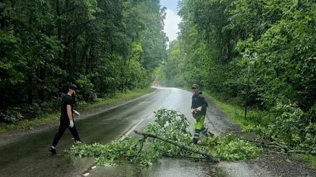 В Пензе коммунальщики борются с последствиями непогоды