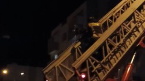 «Спасибо от всего района!»: сотрудники МЧС спасли кота в Заре