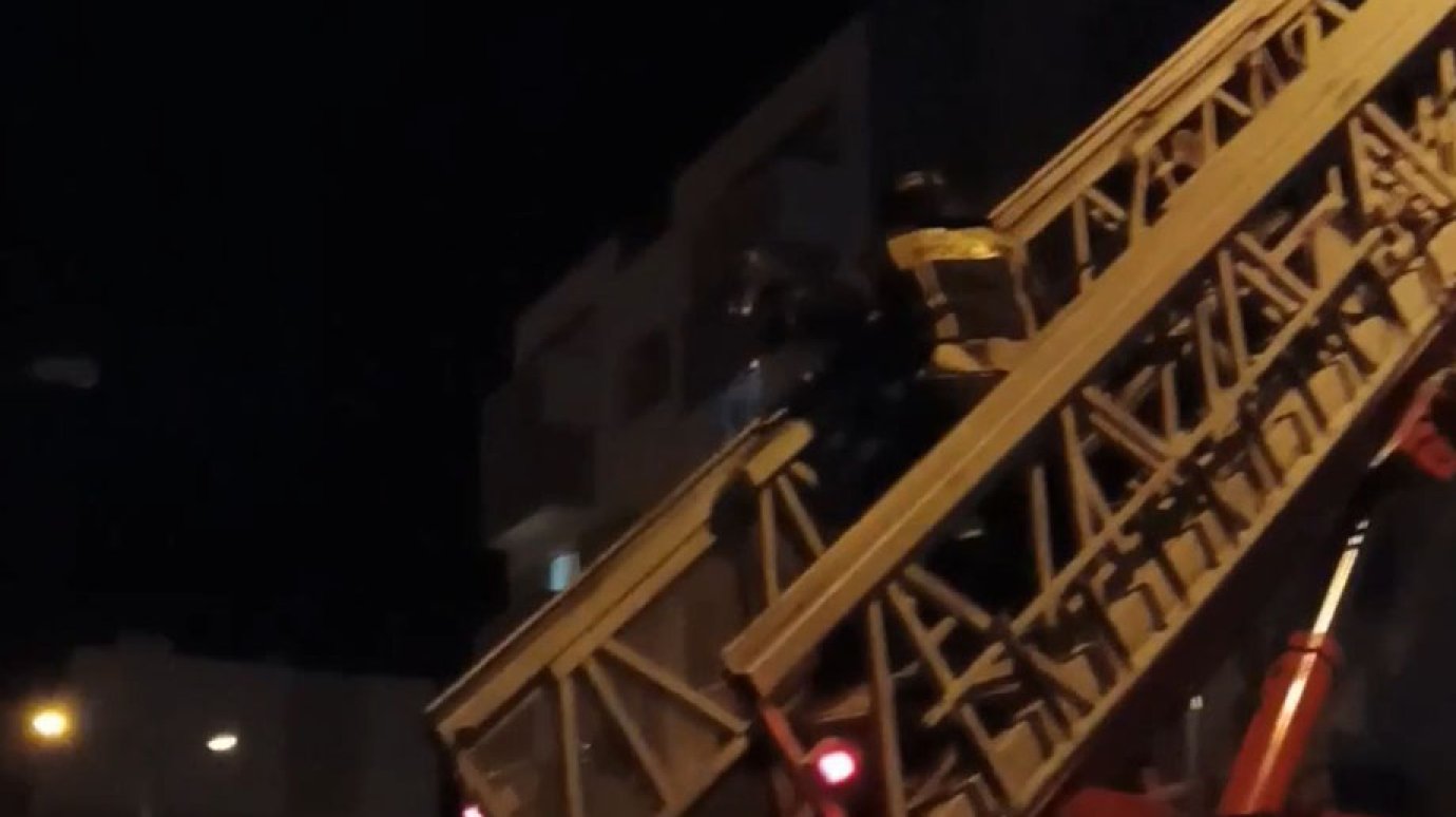 «Спасибо от всего района!»: сотрудники МЧС спасли кота в Заре