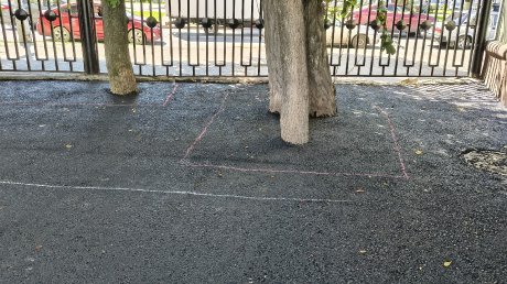 Во дворе на улице Кирова в Пензе деревья закатали в асфальт