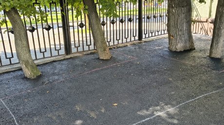Во дворе на улице Кирова в Пензе деревья закатали в асфальт