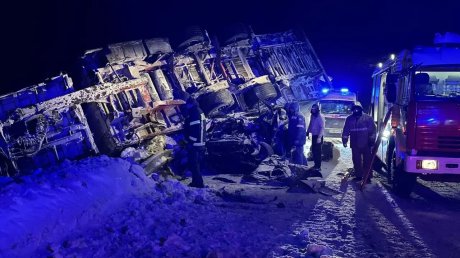 Водитель грузовика признал вину в смертельном ДТП под Виргой