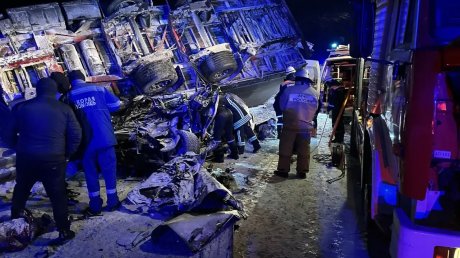 Водитель грузовика признал вину в смертельном ДТП под Виргой