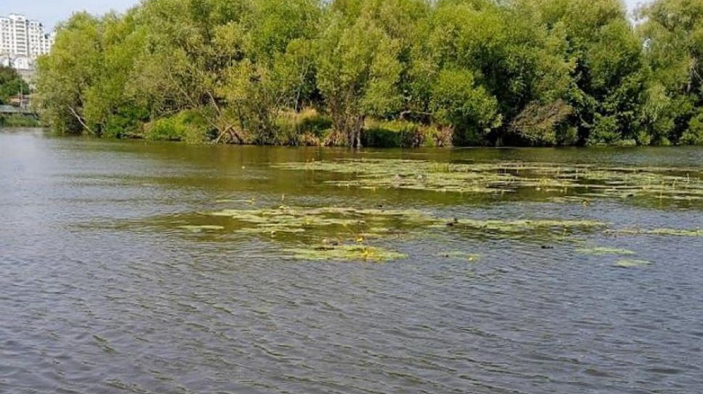 В Пензе ищут тело еще одного утонувшего в Суре мужчины