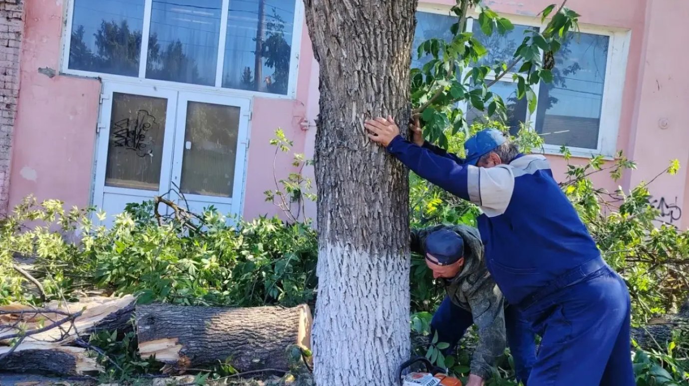 В Кузнецке борются с последствиями массового падения деревьев