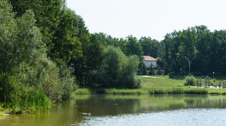 В Заречном прошел третий этап добавления хлореллы в Лесной пруд