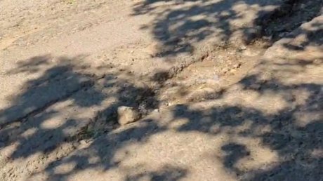Жители Веселовки просят дорогу, по которой можно проехать