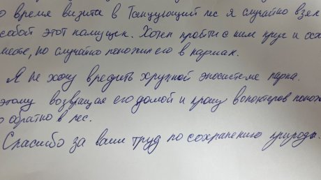 Пензенец вернул в Калининградскую область прихваченный камень