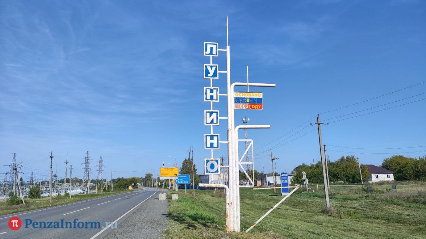 В п. Лунино 40-летняя хулиганка напала на незнакомую девушку