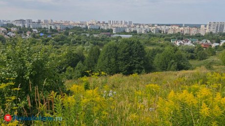 17 августа пензенцев ждет жаркий и дождливый день