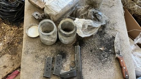 Житель Башмаковского района может лишиться свободы из-за хобби