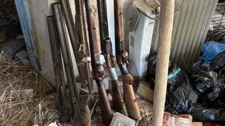 Житель Башмаковского района может лишиться свободы из-за хобби